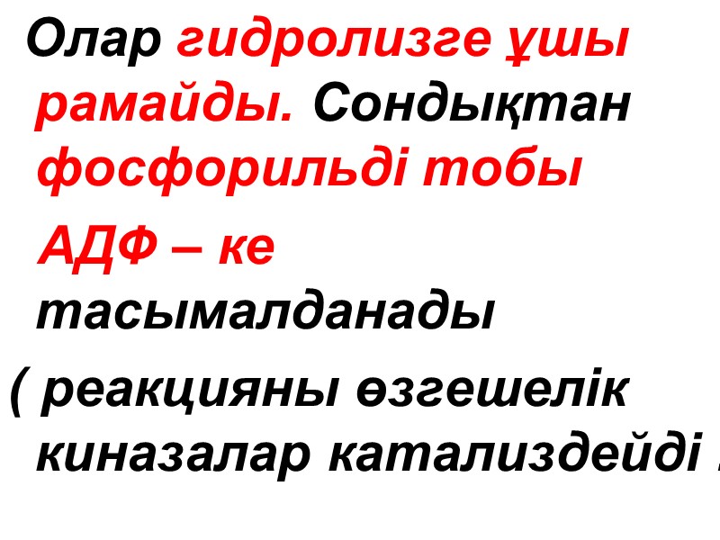 Олар гидролизге ұшы рамайды. Сондықтан фосфорильді тобы    АДФ – ке 